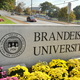 Illustration for article titled Brandeis Cleans House After Investigation Into Basketball Coaching Abuse